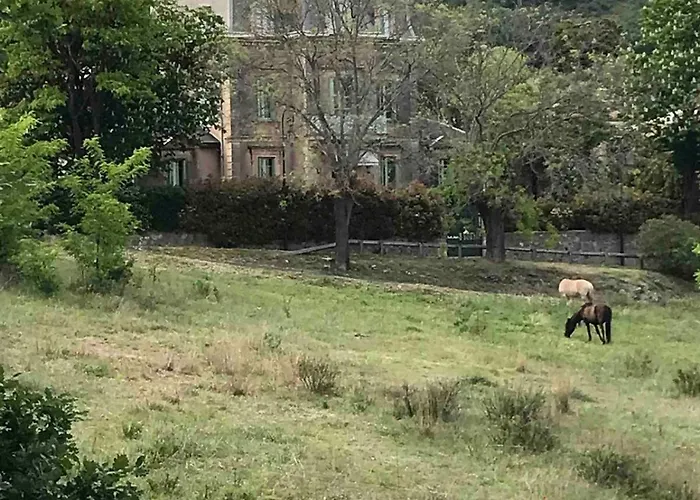 Demeure De Charme Au Nord De Montpellier Avec Piscine * Saint-Guiraud
